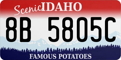 ID license plate 8B5805C