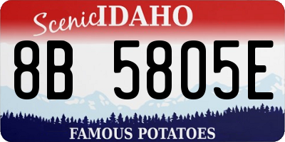 ID license plate 8B5805E