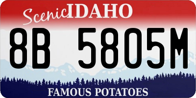 ID license plate 8B5805M