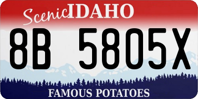 ID license plate 8B5805X