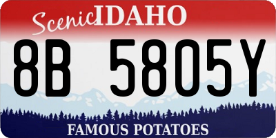 ID license plate 8B5805Y