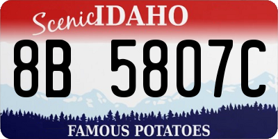 ID license plate 8B5807C