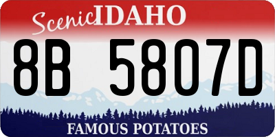 ID license plate 8B5807D