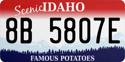 ID license plate 8B5807E