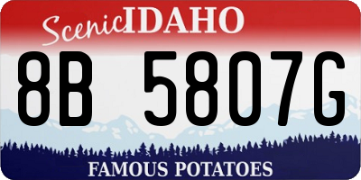 ID license plate 8B5807G