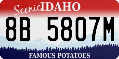 ID license plate 8B5807M
