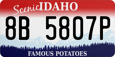 ID license plate 8B5807P