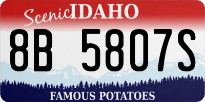 ID license plate 8B5807S