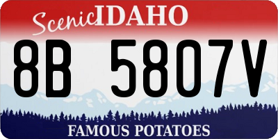 ID license plate 8B5807V