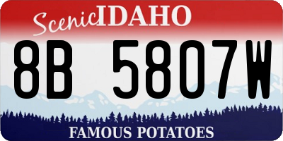 ID license plate 8B5807W