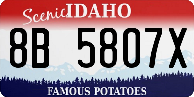 ID license plate 8B5807X