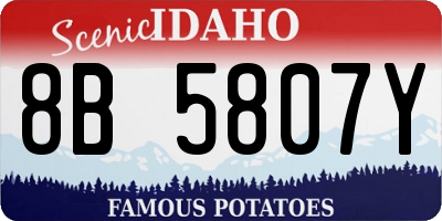 ID license plate 8B5807Y