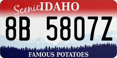 ID license plate 8B5807Z