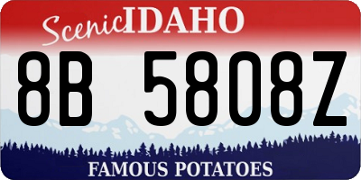 ID license plate 8B5808Z