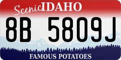 ID license plate 8B5809J