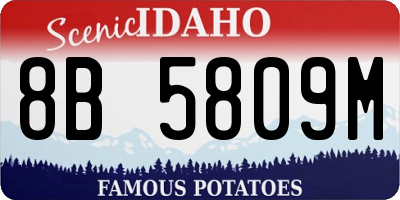 ID license plate 8B5809M