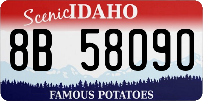 ID license plate 8B5809O