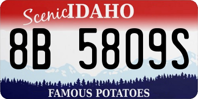 ID license plate 8B5809S
