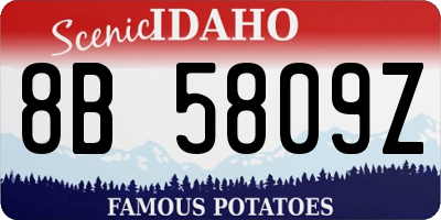 ID license plate 8B5809Z