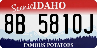 ID license plate 8B5810J