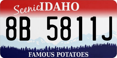 ID license plate 8B5811J