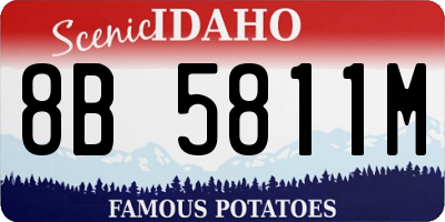 ID license plate 8B5811M