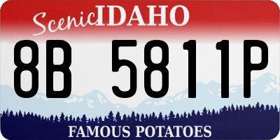 ID license plate 8B5811P