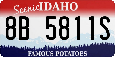 ID license plate 8B5811S