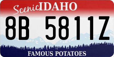 ID license plate 8B5811Z