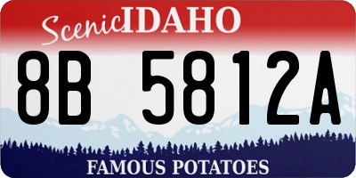 ID license plate 8B5812A