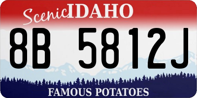 ID license plate 8B5812J