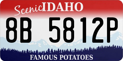 ID license plate 8B5812P