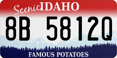 ID license plate 8B5812Q