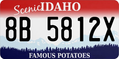 ID license plate 8B5812X