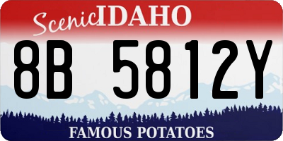 ID license plate 8B5812Y