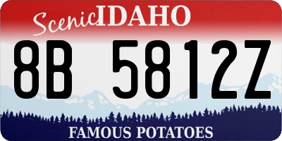 ID license plate 8B5812Z