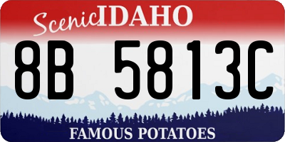 ID license plate 8B5813C