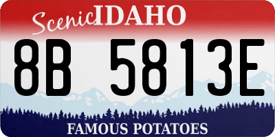 ID license plate 8B5813E