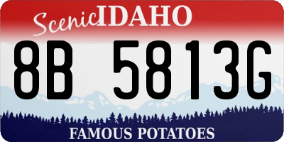 ID license plate 8B5813G