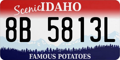 ID license plate 8B5813L