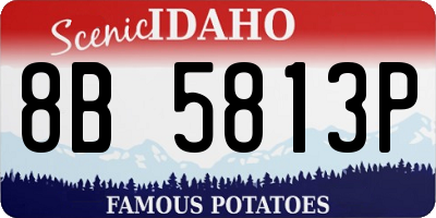 ID license plate 8B5813P