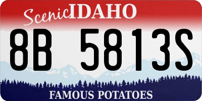 ID license plate 8B5813S