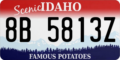 ID license plate 8B5813Z