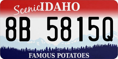 ID license plate 8B5815Q