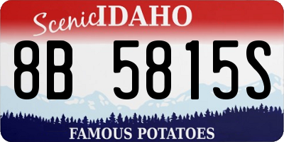 ID license plate 8B5815S