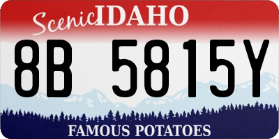 ID license plate 8B5815Y