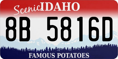 ID license plate 8B5816D