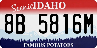 ID license plate 8B5816M