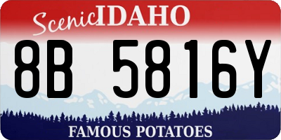 ID license plate 8B5816Y