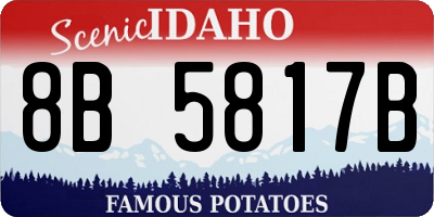 ID license plate 8B5817B